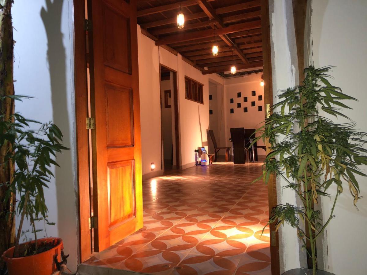 Hotel Casa PALUM Palomino Exteriér fotografie